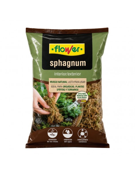Sphagnum