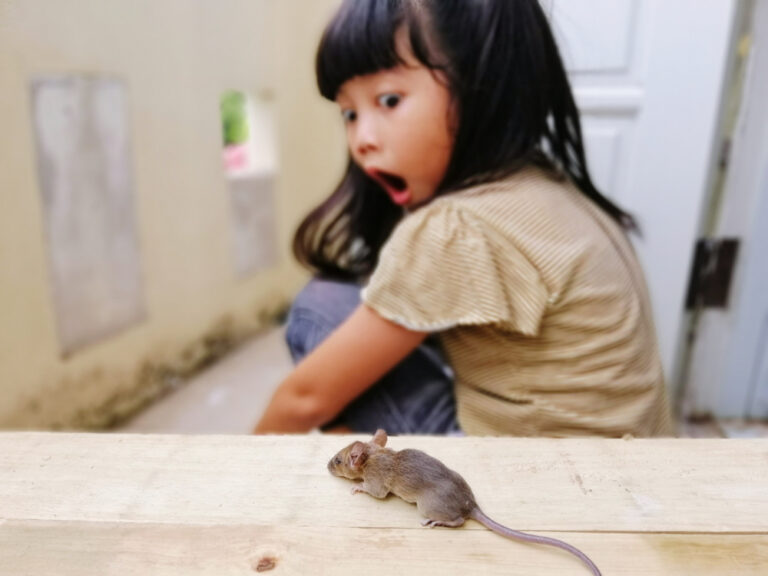 veneno para ratas